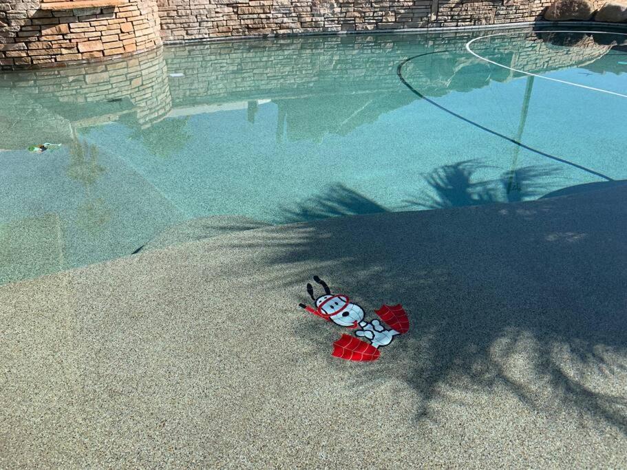 לייק הבאסו סיטי Ultimate Backyard-Pool/Spa. Slide. Lakeview. Ball מראה חיצוני תמונה